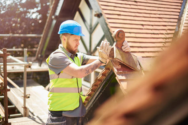 Best Roof Gutter Cleaning  in Oshkosh, WI